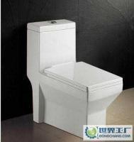 專業衛生潔具生產銷售，質量可靠，歡迎新老客戶惠顧